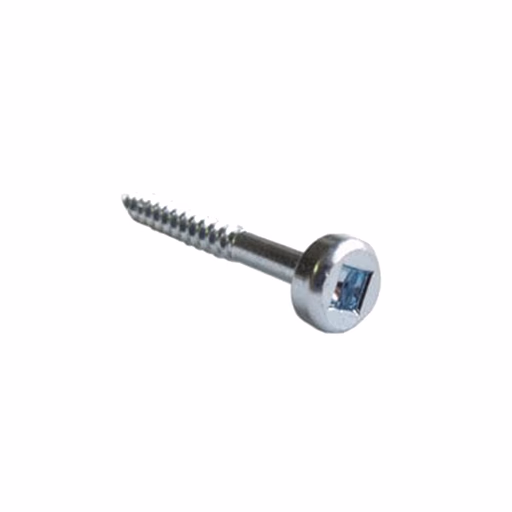 Schroeven 31,7 mm · 990.102X500