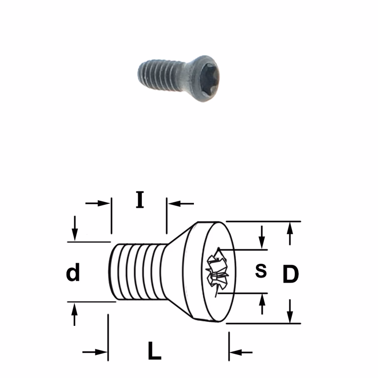Coniche torx bout D=3,7mm L=6mm I=4,5mm