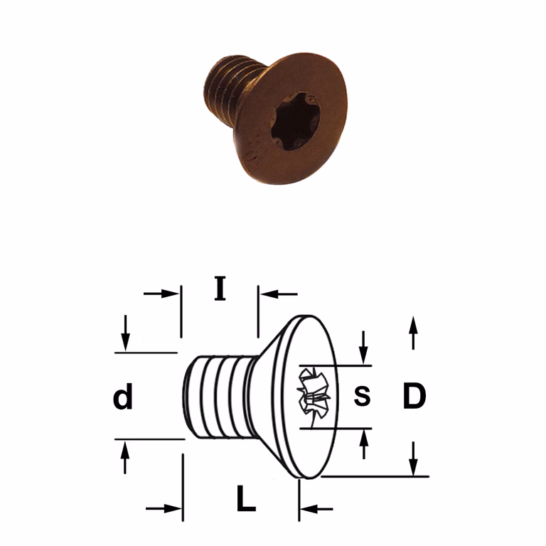 Conische torx bout D=9mm S=T20 L=10mm I=8mm